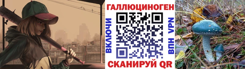 Псилоцибиновые грибы Psilocybine cubensis  Купить закладки  Гатчина 