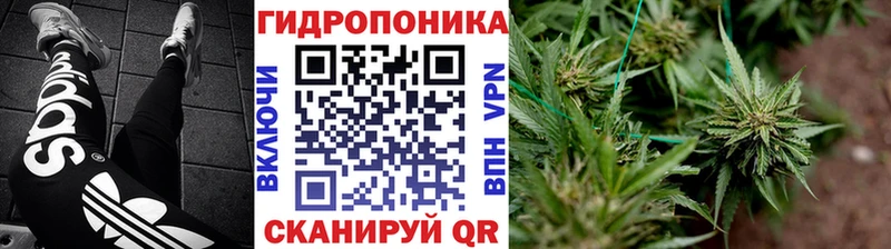 Купить  Гатчина  Бошки Шишки конопля 